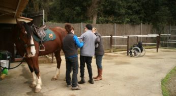 Hipoterapia, la conexión entre los caballos y las personas